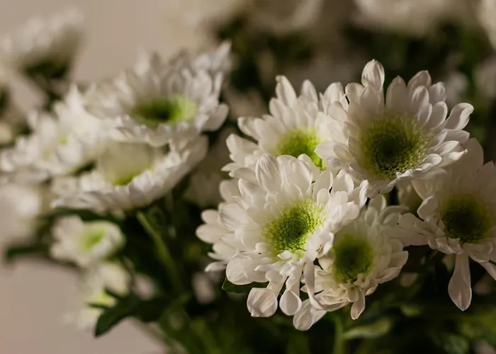 Bianca Cappello House