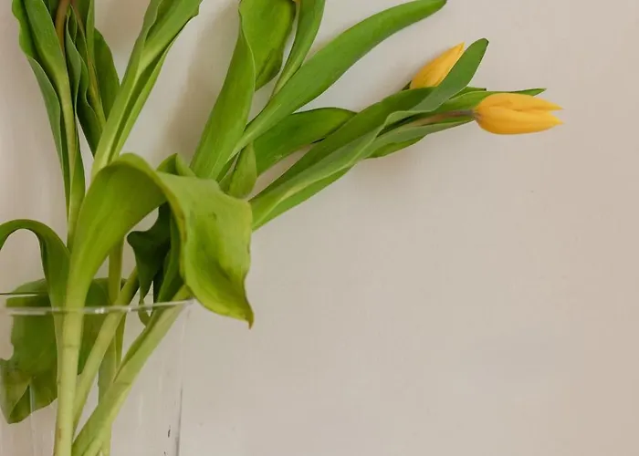 Bianca Cappello House Bed & Breakfast 4*