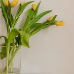 Bianca Cappello House Bed & Breakfast 4*